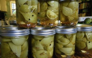 Doğru Turşu için İpuçları