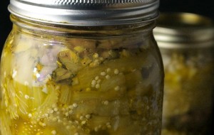 Kolay Patlıcan Turşusu Tarifi