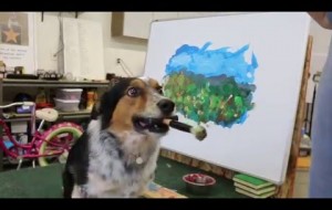 Ağzında Tuttuğu Fırça ile Sanat Eserleri Yaratan Köpek