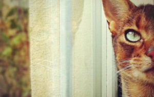 Şaşırtıcı Instragram fotoğrafları