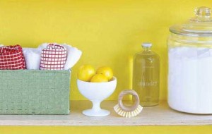 Sağlıklı Yaşam için Doğal Temizlik Önerileri