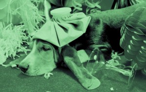 Sarhoş olduğunuzda zaman nasıl bir kimliğe bürünüyorsunuz?