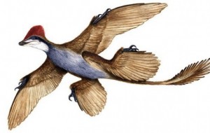 Tarih Öncesinde Yaşamış 15 İlginç Hayvan