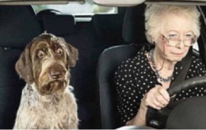 Çocuklarıma Araba Kullanmayı Babaanneleri Öğretsin!