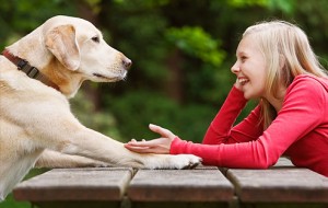 Evcil Hayvanlara Çiğ Gıda Vermeyin