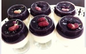 Karadut Sefası Tarifi