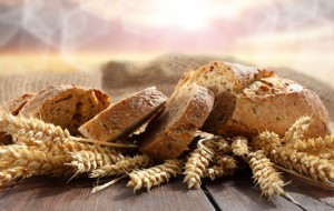 Ekmeğinizle Oynatmayın!!!