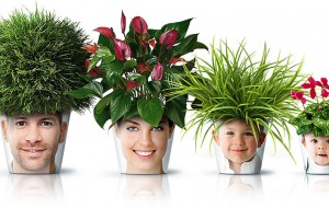 Doğadan İlham Alıp Günlük Yaşama Geçen 20 Şey