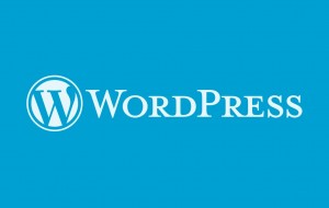 WordPress İle Yapılabilecek Girişimler