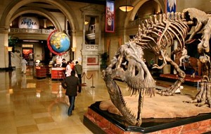 Hangi müze türlerini gezdiniz?