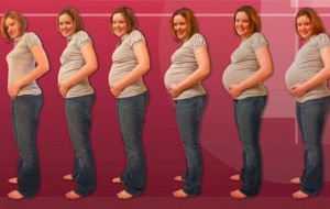 Gebelik Süreci ve Hafta Hafta Gebelik-2