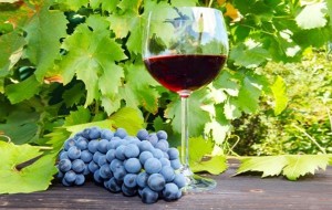 Hardaliye Nelere Kadir?