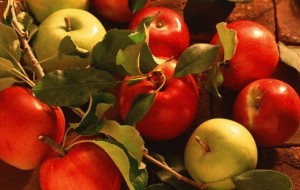 Elma Giren Eve Doktor Girmez