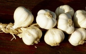 Sarımsak Antibiyotiğe Karşı
