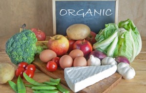 Organik Besin Çılgınlığı 