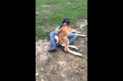 Sevgi Arsızı Yavru Küçük Tay