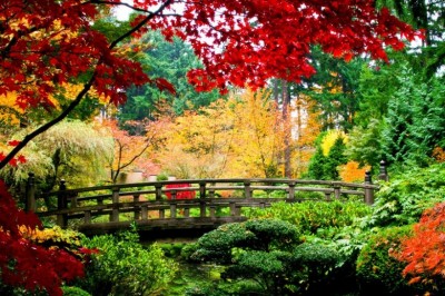 Sarı Kırmızı Yeşil Türklerin Milli Renkleri midir?