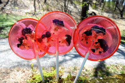 Bu Lolipoplar İçlerindeki Yenebilir Çiçeklerle Göz Zevkimize De Hitap Ediyorlar