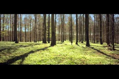 'Dünyanın En Rahatlatıcı Filmi' Adlı 7 Dakikalık Film