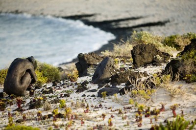 İnsanları Doğadan Ayırt Edemeyeceğiniz, Mükemmel Kompozisyonlar