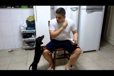 Köpeğini Trolleyen Adam Ona İlaç İçirmeyi Başarıyor