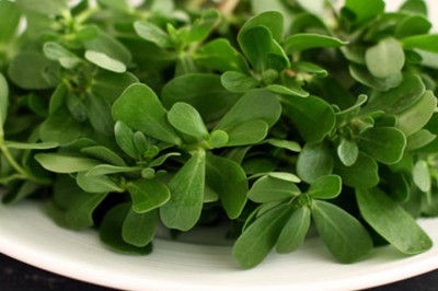 Demir Deposu Semizotunun Faydaları